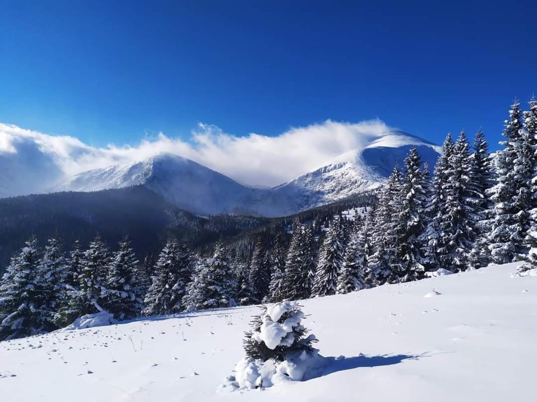Кришталеві Вершини Villa Vorokhta Dış mekan fotoğraf