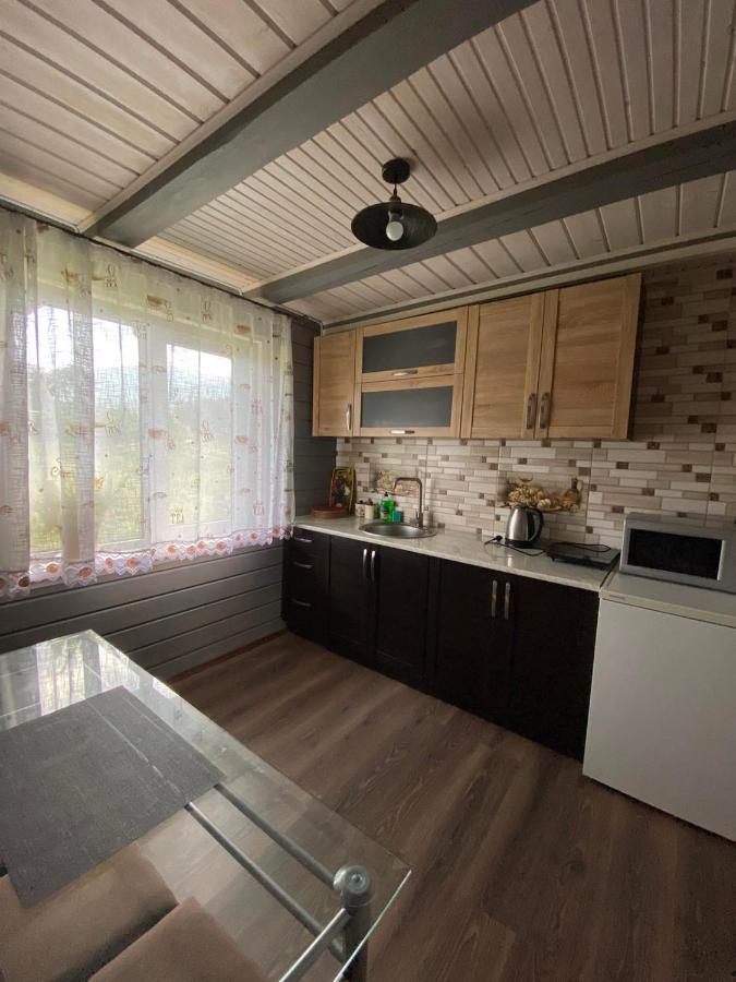 Кришталеві Вершини Villa Vorokhta Dış mekan fotoğraf